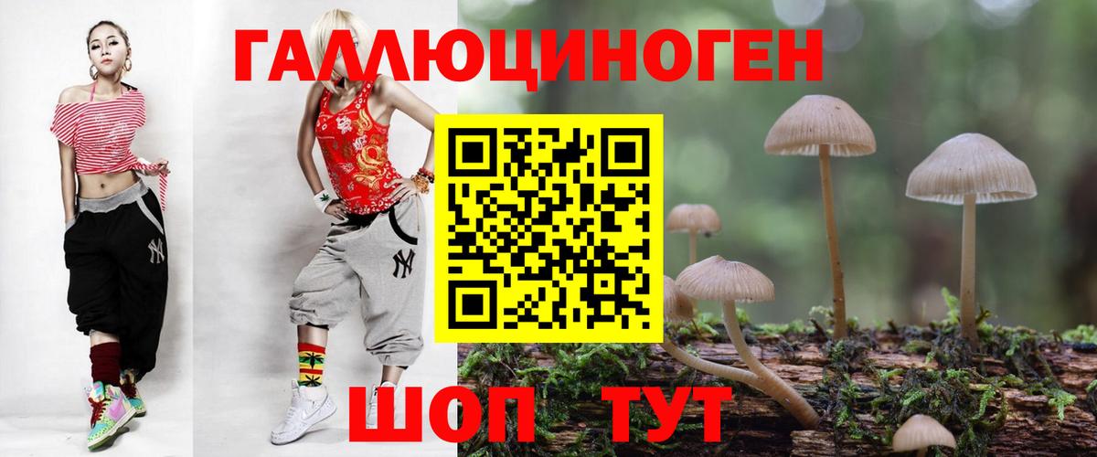 Курчалой  Псилоцибиновые грибы Cubensis  Псилоцибиновые грибы MAGIC MUSHROOMS  Вход с VPN 